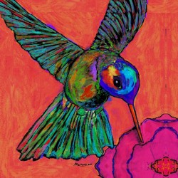 HUMMINGBIRD ON ORANGE
